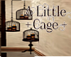 !! Aa Little Cage + 2 !!