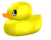 [Ken2] Duck