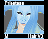 Priestess Hair M V3