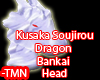Kusaka Dragon Head