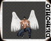 Angel Wings-white M