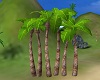 PHV Tropical Palm Trees