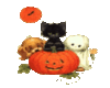 Kitten pumpkin