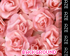 Rose Animated Background