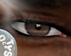 O_ BROWN ASTERI EYES 3