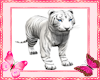 White Tiger
