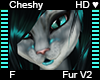 Cheshy Fur V2 F Request