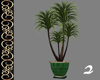 Emerald Oasis Plant 2
