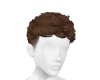 ✶ CaBrown Fluffy Hair