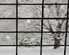 Winter window scene 1