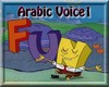 *F* Arabic Voice M/F