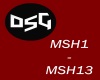 DSG-MSHPIT