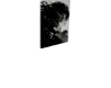 Eren Titan