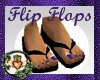 ~SB~FlipFlops (PP)