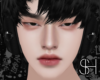 SH - Kaito Head
