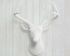 White Deer Head