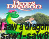I Saw a Dragon