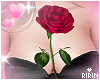 Red Rose on Chest