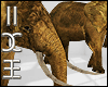 Elephant Light Effect
