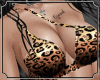 Leopard Bikini