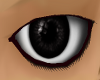 platipus eyes