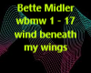 wind beneath my wings