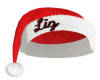 Liz's Santa Hat