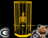 (C) Yellow Caged
