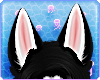 Oxu | Husky Ears V3
