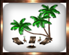 Beach Palm Loungers 2