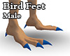 Derivable Bird Feet Male