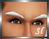 (SL) Santa Eyebrows
