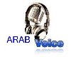 ARAB VOICE MAN