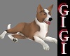 GM Puppy  animated