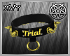 Vy: F Trial Collar Gold