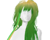 Brasil Hair