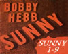 Sunny, Bobby Hebb