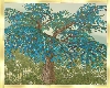Old Blue Blossom Tree