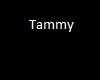 Tammy bb Necklace