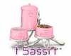 Pink Pet Food Bowls