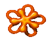 Orange Flower Power