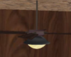 A| Ceiling Fan