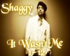 Shaggy-It Wasn't Me