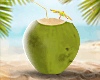 DV COCONUT II