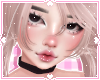 ❀. aoki | latte