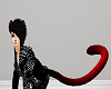 Black/Red Tail M/F