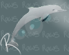 R| Dolphin Rug