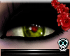 V| Zombie Girl *Eyes*