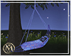 ℳ▸Park Hammock