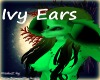 Ivy Ears